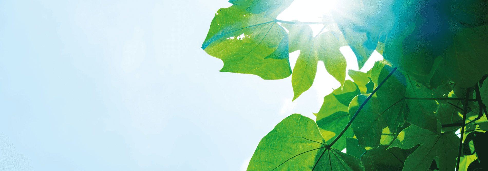 Können Inkontinenzprodukte nachhaltig sein?